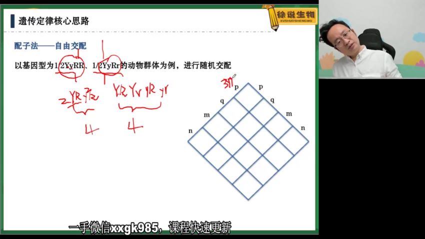 2022高三高途生物徐京春季班（新高考） 百度网盘