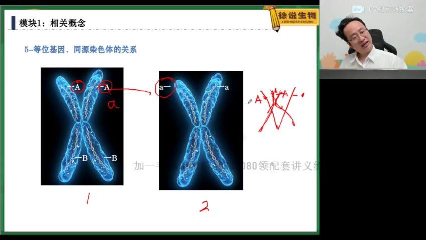 2022高一高途生物徐京全年班