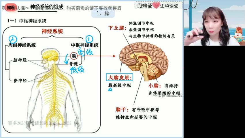 2023高二高途生物段瑞莹暑假班