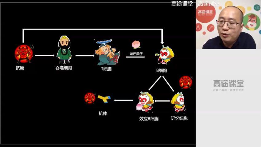 徐京2019高二生物秋季班 百度云网盘