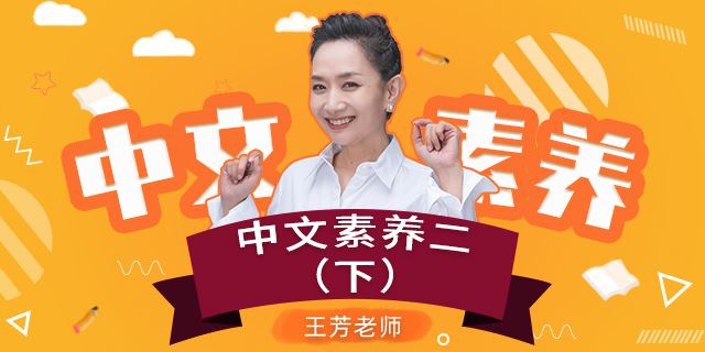 王芳大语文中文素养课小学语文二年级(下)[部编版]