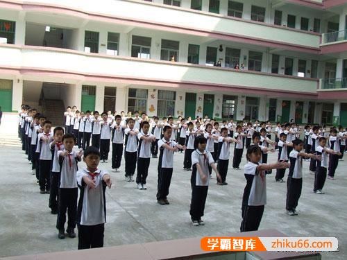 中小学大量私立学校的存在，严重破坏了教育生态，你认同吗？