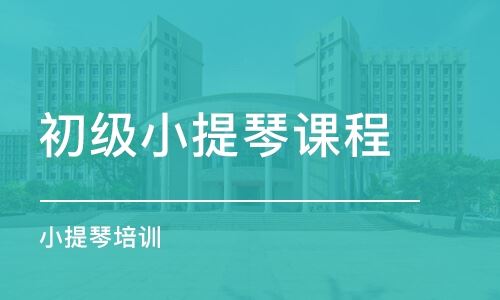 小提琴高考冲刺班培训北京