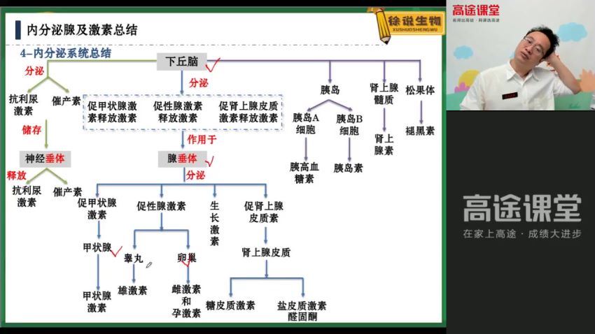 2022高三高途生物徐京秋季班（全国卷） 百度网盘