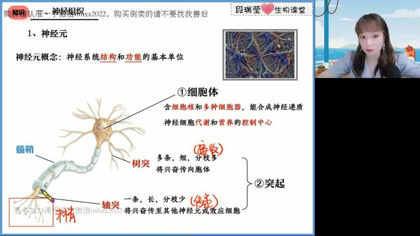 2023高二高途生物段瑞莹秋季班