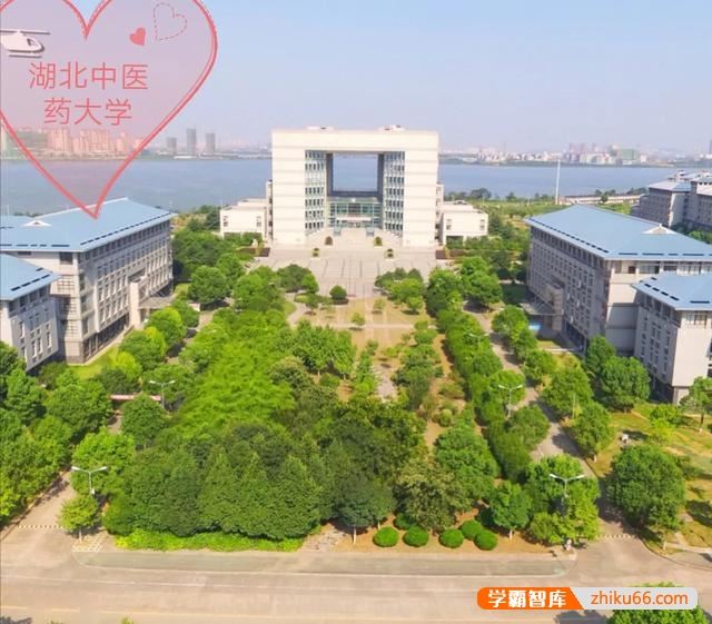 湖北考生520-540分左右可以报考哪些大学？