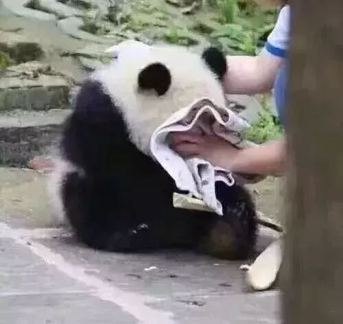 2021年广东高考复读会更难吗