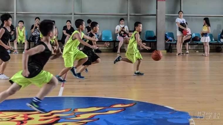 广东体育篮球高考培训班