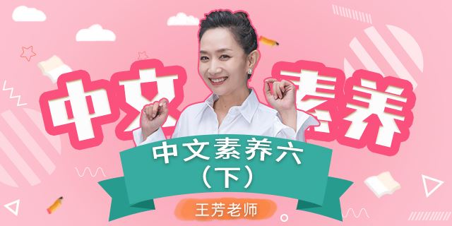 王芳大语文中文素养课小学语文六年级(下)[部编版]