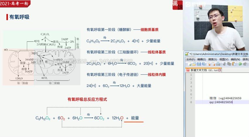 张鹏2021生物暑假班  百度云网盘