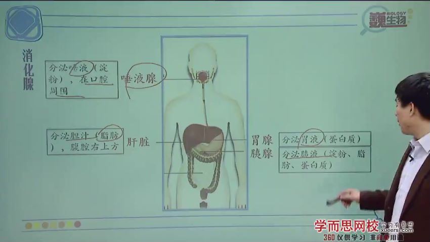 学而思初三科学生物篇年卡尖子班陆巍巍浙教版（27讲）