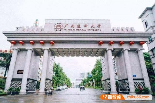 广西右江民族医学院是一所什么层次的医科大学？