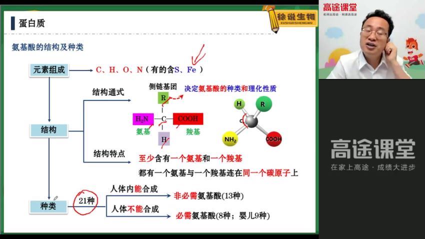 徐京2022高考生物一轮 百度云网盘