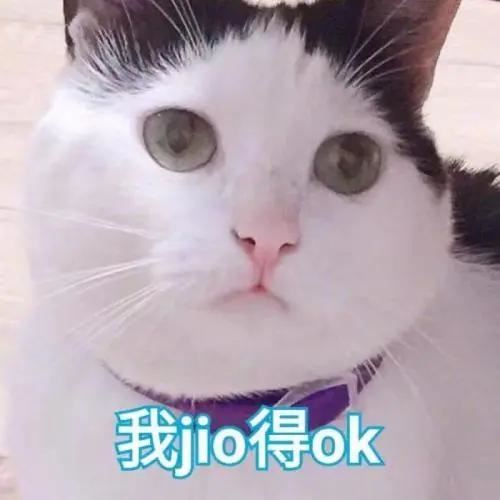 广东省舞蹈艺术生高考培训