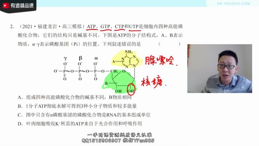 2022高三有道生物陈旭晨秋季班 百度网盘