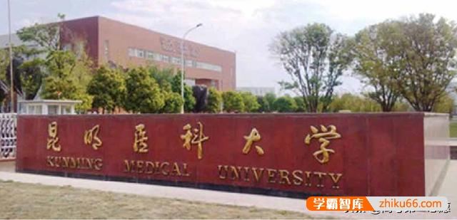 云南哪些大学的哪些医学专业排名高？