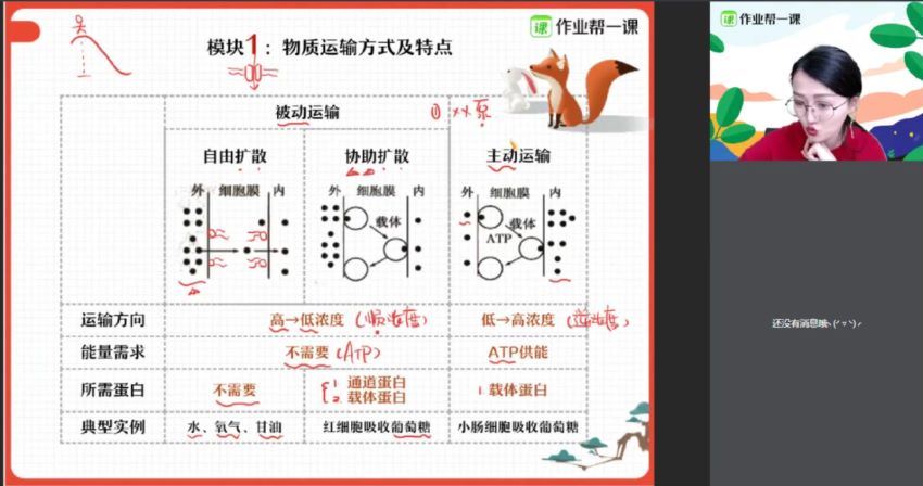 段瑞莹2019高一生物秋尖端班  百度云网盘