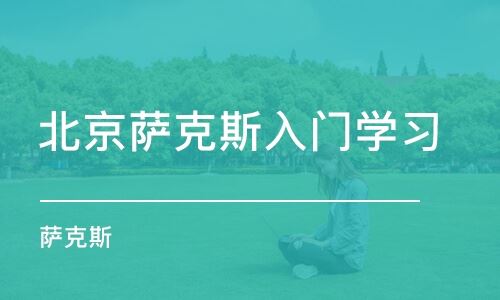 北京萨克斯高考高考培训