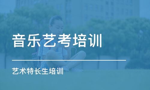 上海高考音乐艺术类培训
