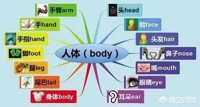 如何高效地学习？