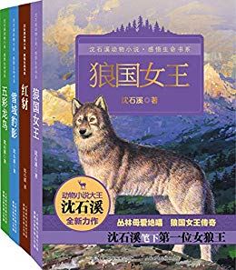 少儿读物《沈石溪动物小说感悟生命书系》沈石溪4册套装PDF电子书