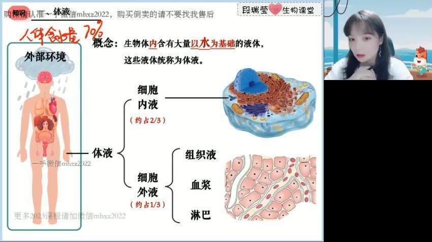 2023高二高途生物段瑞莹暑假班