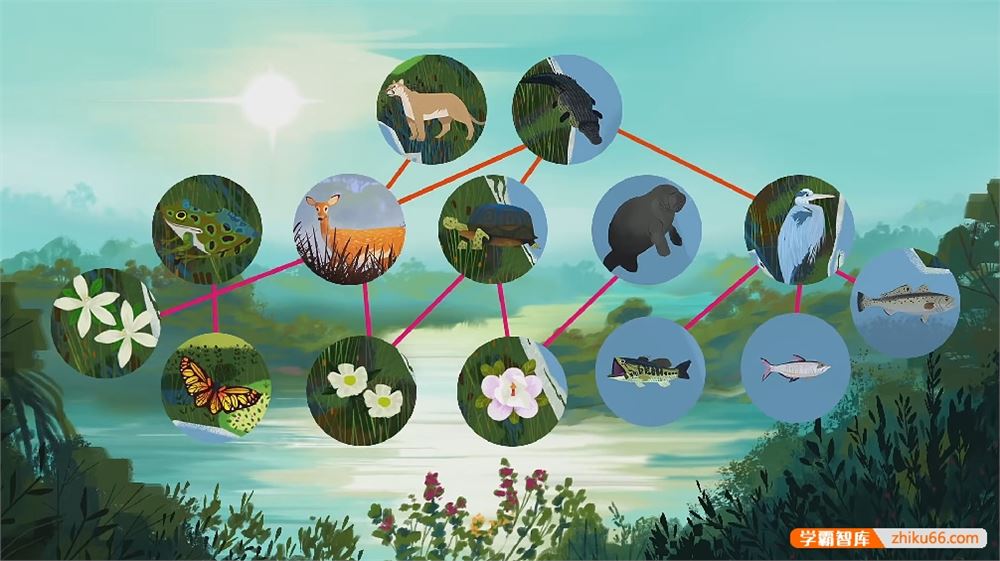 TED-ed《Awesome Nature了不起的自然》英文科普动画128集全(带外挂字幕)