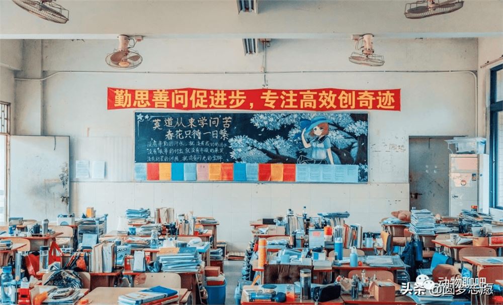 重庆新高考2021届志愿无参考
