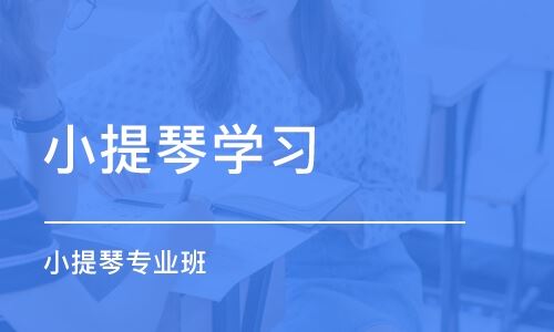 小提琴高考冲刺班培训北京