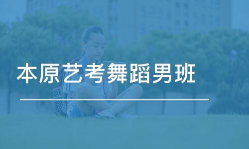 北京高考舞蹈艺考培训机构