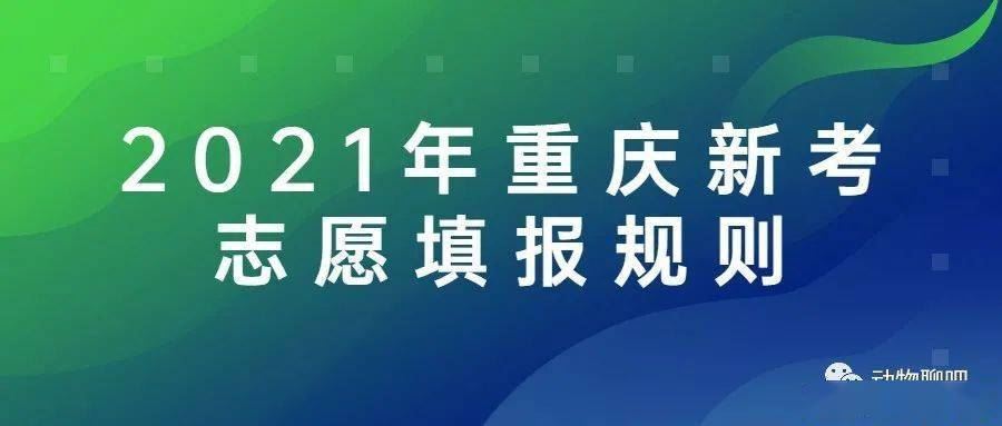 重庆新高考2021届志愿无参考