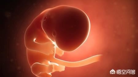 怀孕2个月胎儿有多大？