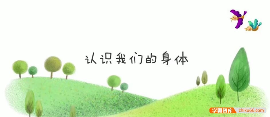 芝麻学社ahashool儿童性启蒙教育课