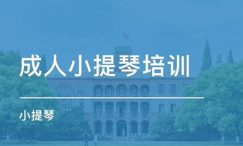 小提琴高考冲刺班培训北京
