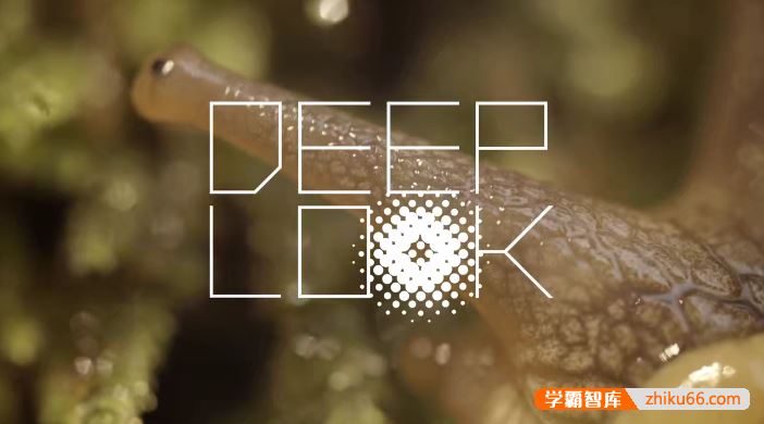 国外优质的动物科普英文纪录片《深度观察Deep look》全9季168集视频