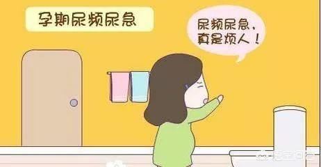 孕妇尿频会影响羊水吗？