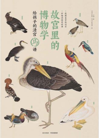 中华文化通识读本《故宫里的博物学：给孩子的清宫鸟谱》PDF电子书