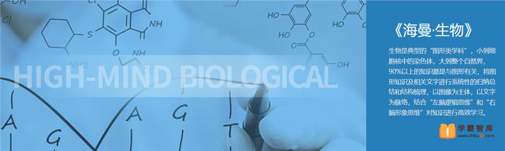 海曼教育海曼教育八年级生物上学期视频课程-初二上