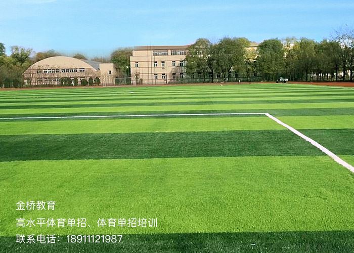 北京高考体育文化课培训
