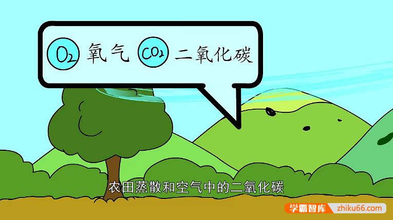 儿童识字启蒙动画片《逗逗虎汉字大学堂》全104集