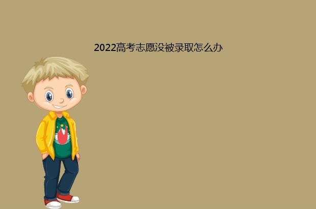 2022高考志愿没被录取怎么办