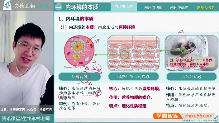 李林生物安德高中生物系统课-高二选择性必修1-2同步视频课程