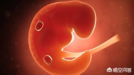 怀孕2个月胎儿有多大？