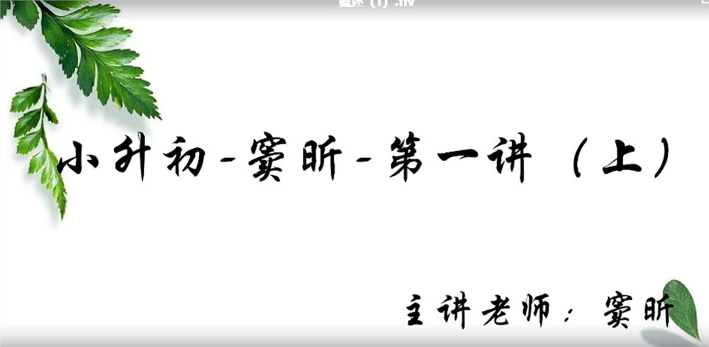 高思网课 思泉大语文小升初语文冲刺班