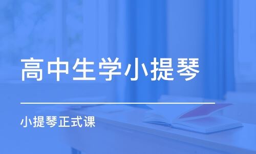 小提琴高考冲刺班培训北京