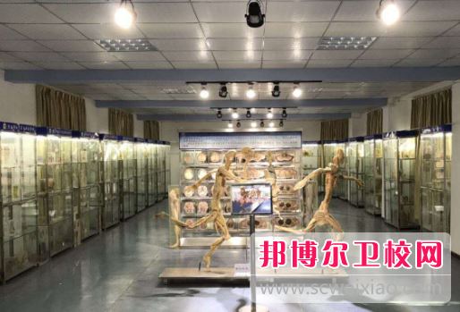 重庆对口高考培训班护理