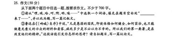 北京朝阳高考语文作文辅导