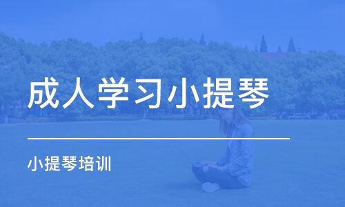 小提琴高考冲刺班培训北京