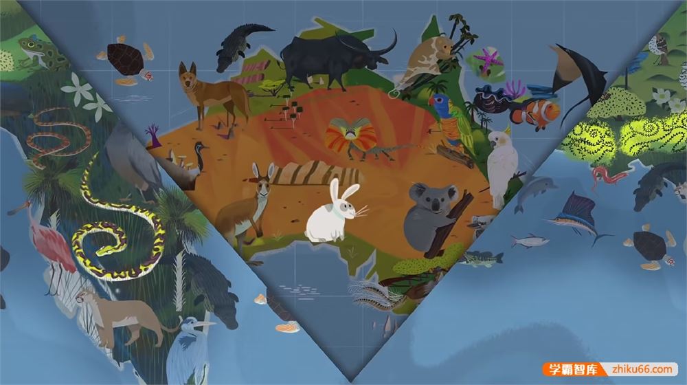 TED-ed《Awesome Nature了不起的自然》英文科普动画128集全(带外挂字幕)